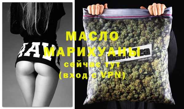 индика Алагир