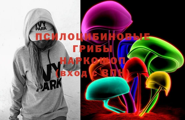 винт Наволоки